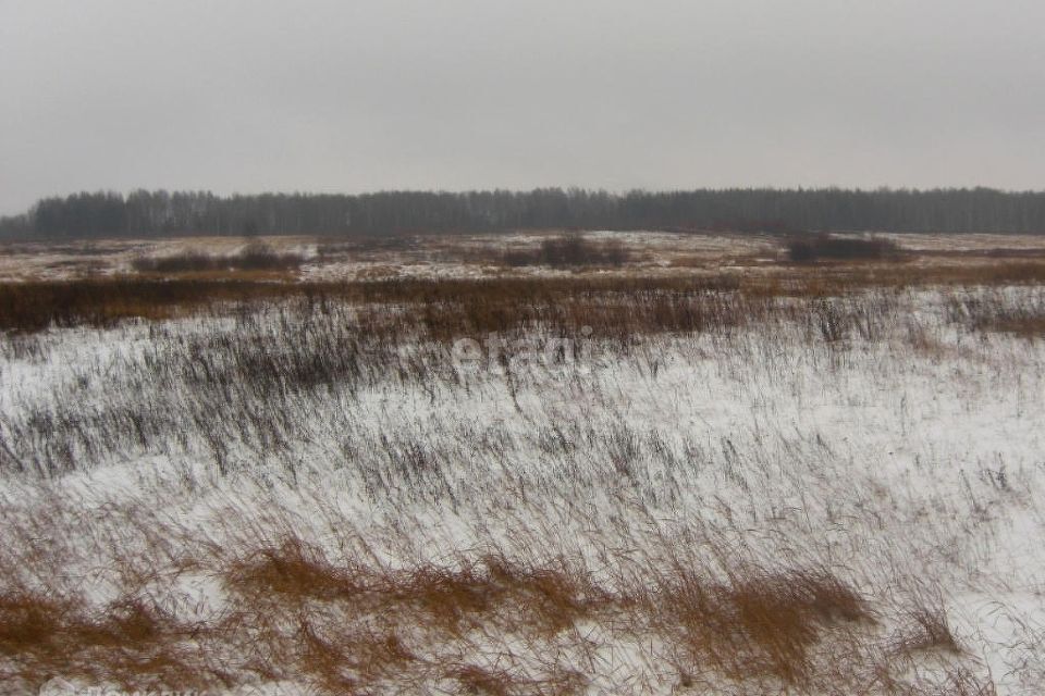 земля г Брянск р-н Фокинский тер СО Заря 11, Брянск городской округ фото 8