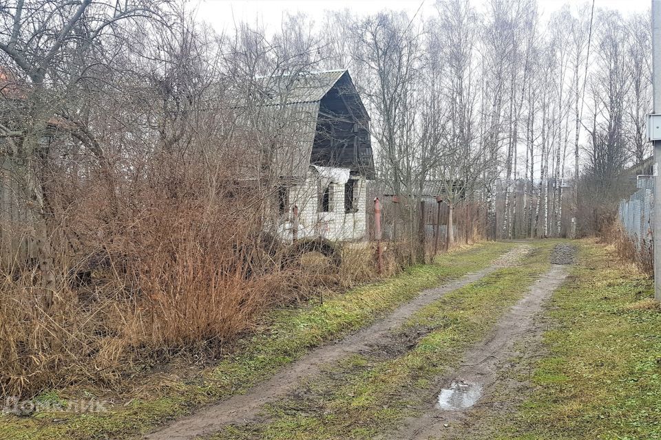 земля р-н Брянский с Толмачево СДТ Импульс фото 9