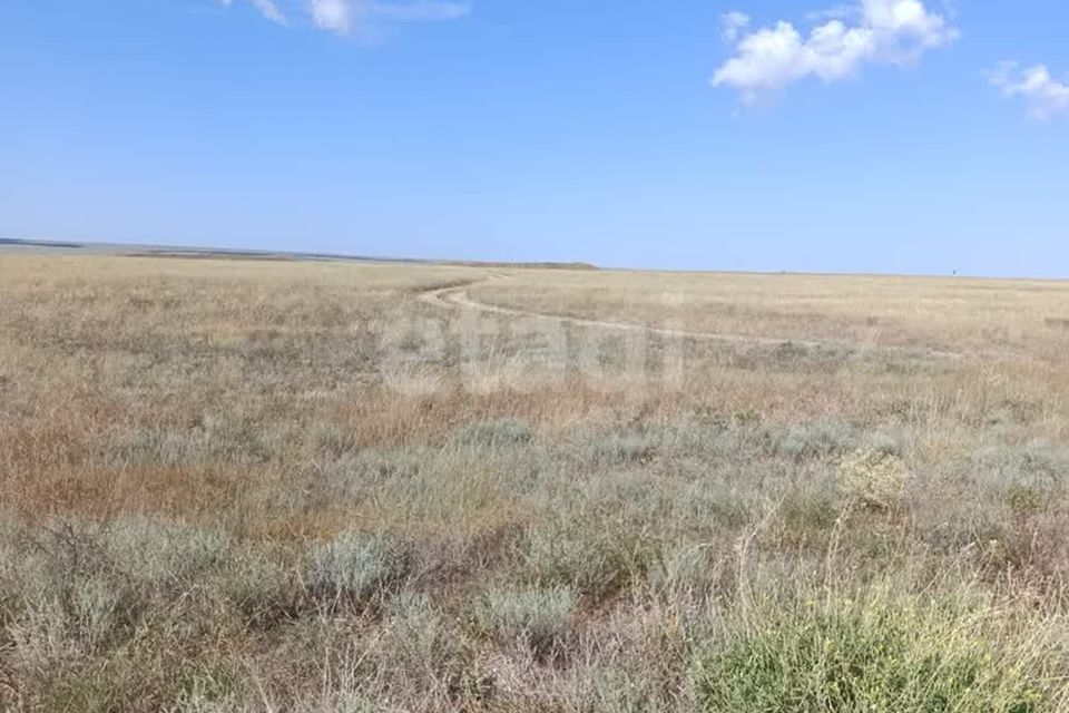 земля р-н Сакский с Штормовое ул Виноградная Штормовское сельское поселение фото 8