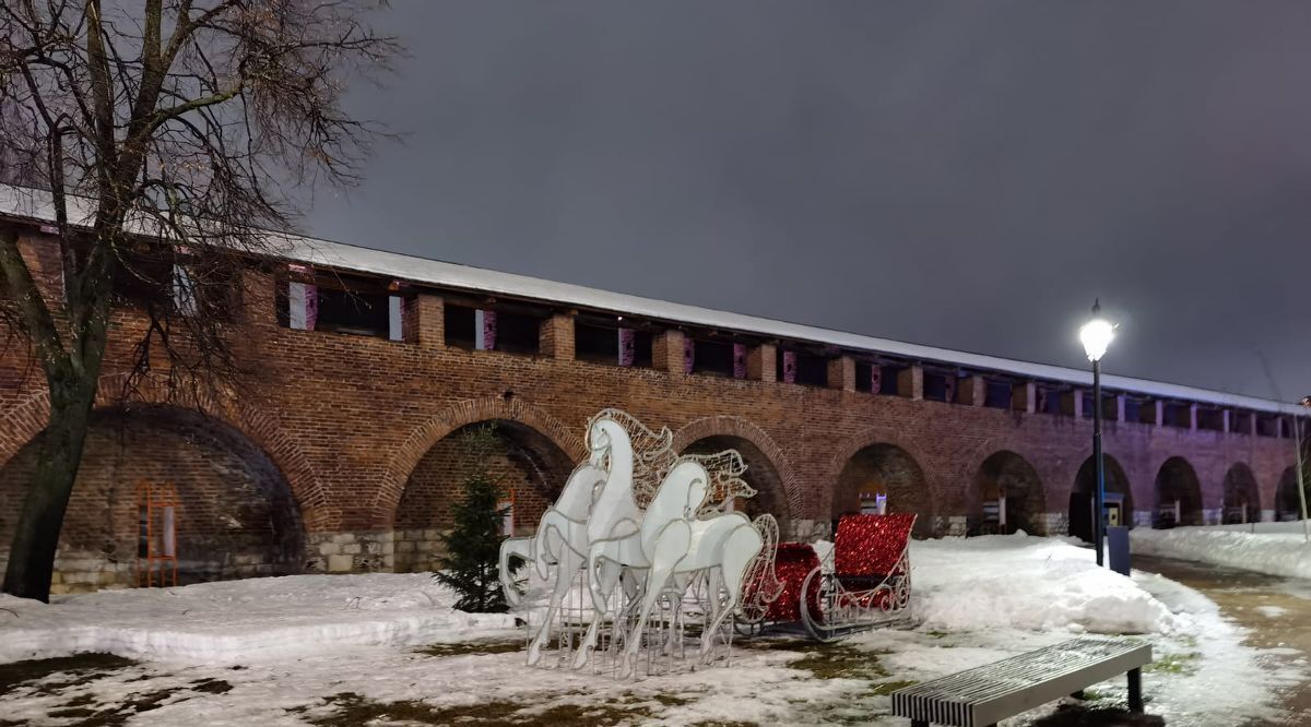 квартира г Нижний Новгород Парк культуры ул Коломенская 8к/2 фото 27