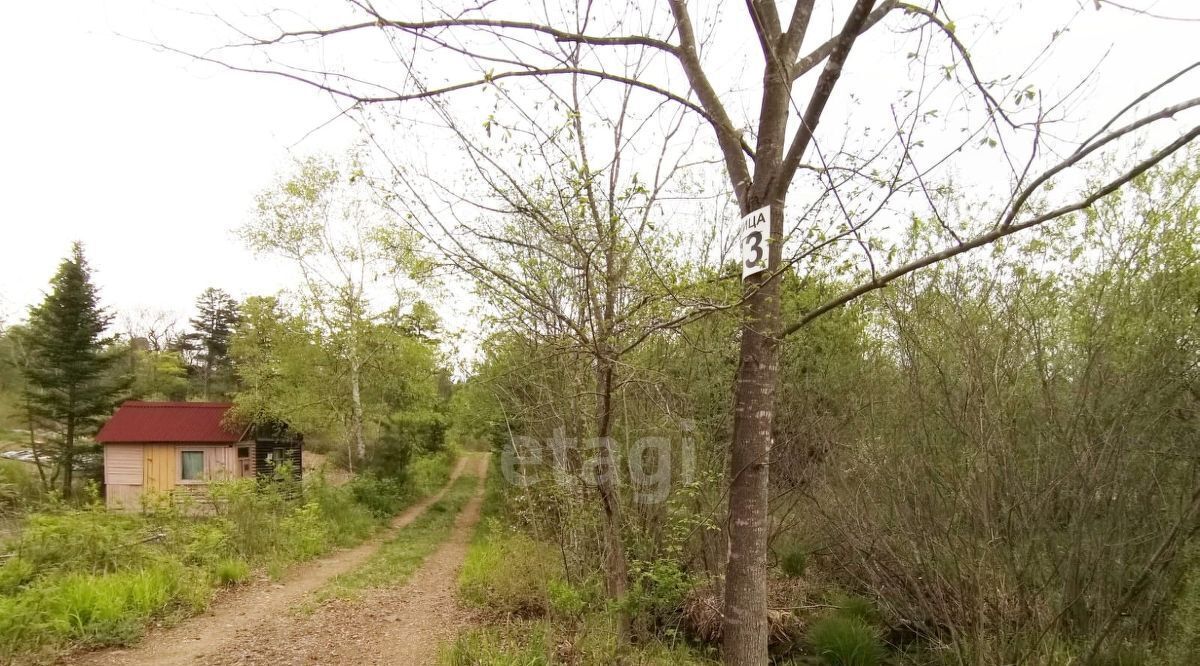 земля р-н Надеждинский Голубая Нива садовое дачное товарищество фото 3