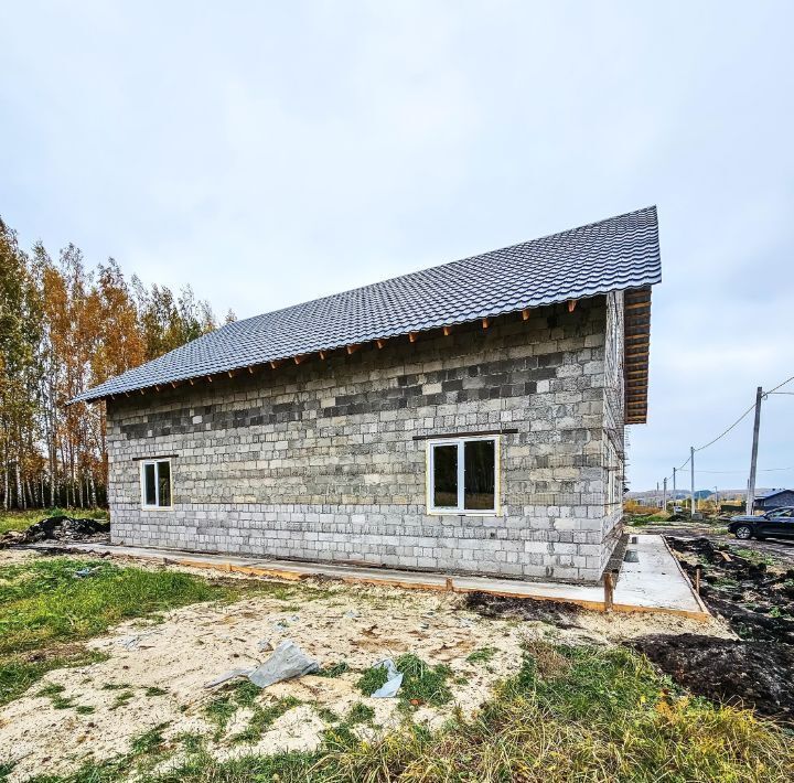 дом р-н Ульяновский с Новая Беденьга ул Прохладная Ишеевское городское поселение фото 3