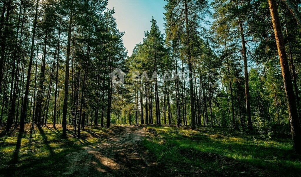 земля городской округ Раменский коттеджный посёлок Зелёный хутор фото 3