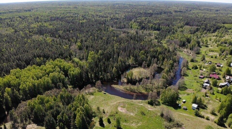 земля р-н Чкаловский д Ульянково Чкаловск городской округ фото 5