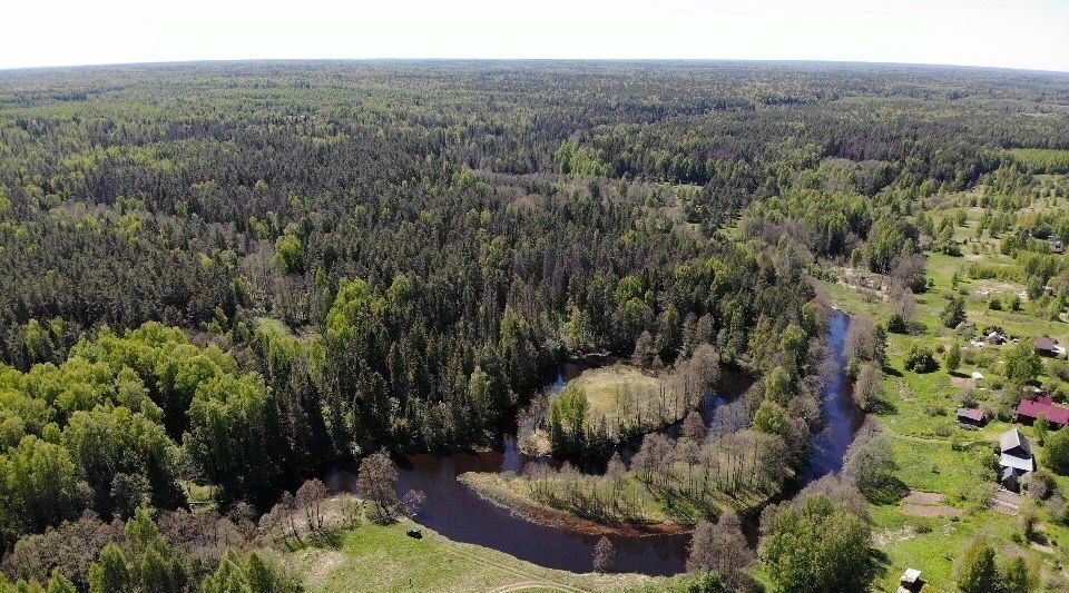 земля р-н Чкаловский д Ульянково Чкаловск городской округ фото 8