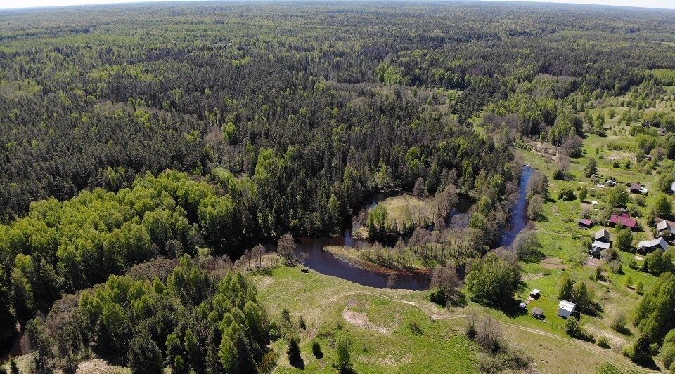 земля р-н Чкаловский д Ульянково Чкаловск городской округ фото 9