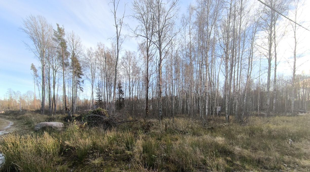 земля р-н Всеволожский Токсовское городское поселение, Новое Токсово СНТ фото 5