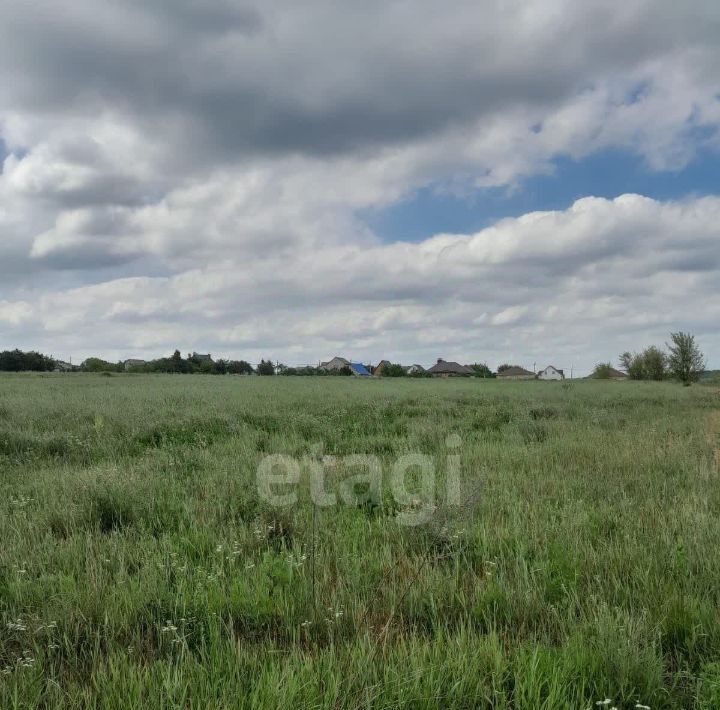 дом р-н Старооскольский с Курское ул Ветеранов Старооскольский городской округ фото 10