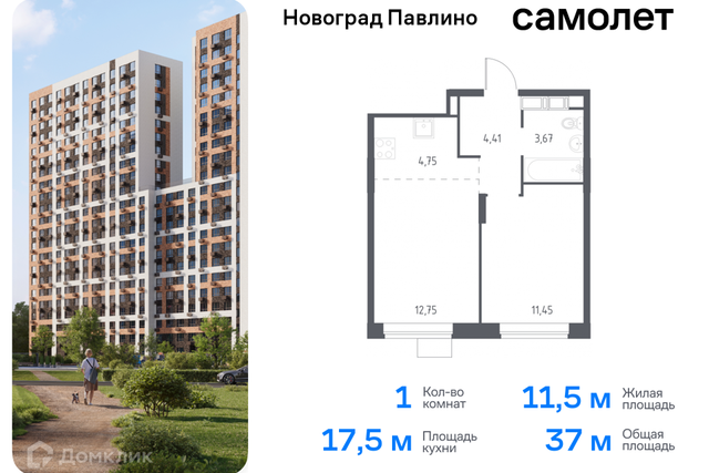 Балашиха городской округ, Новое Павлино м-н фото