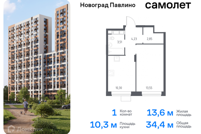 Балашиха городской округ, Новое Павлино м-н фото