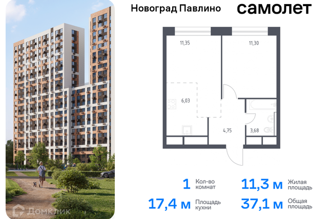 Балашиха городской округ, Новое Павлино м-н фото