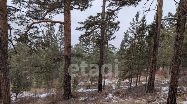 п Аршан р-н Железнодорожный фото