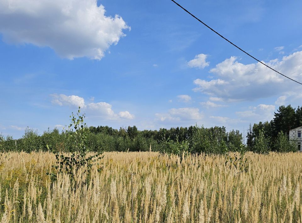 офис городской округ Луховицы с Матыра фото 2