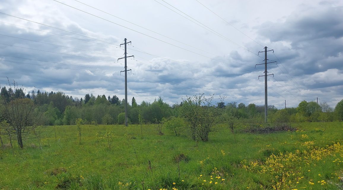 офис городской округ Наро-Фоминский г Верея фото 1