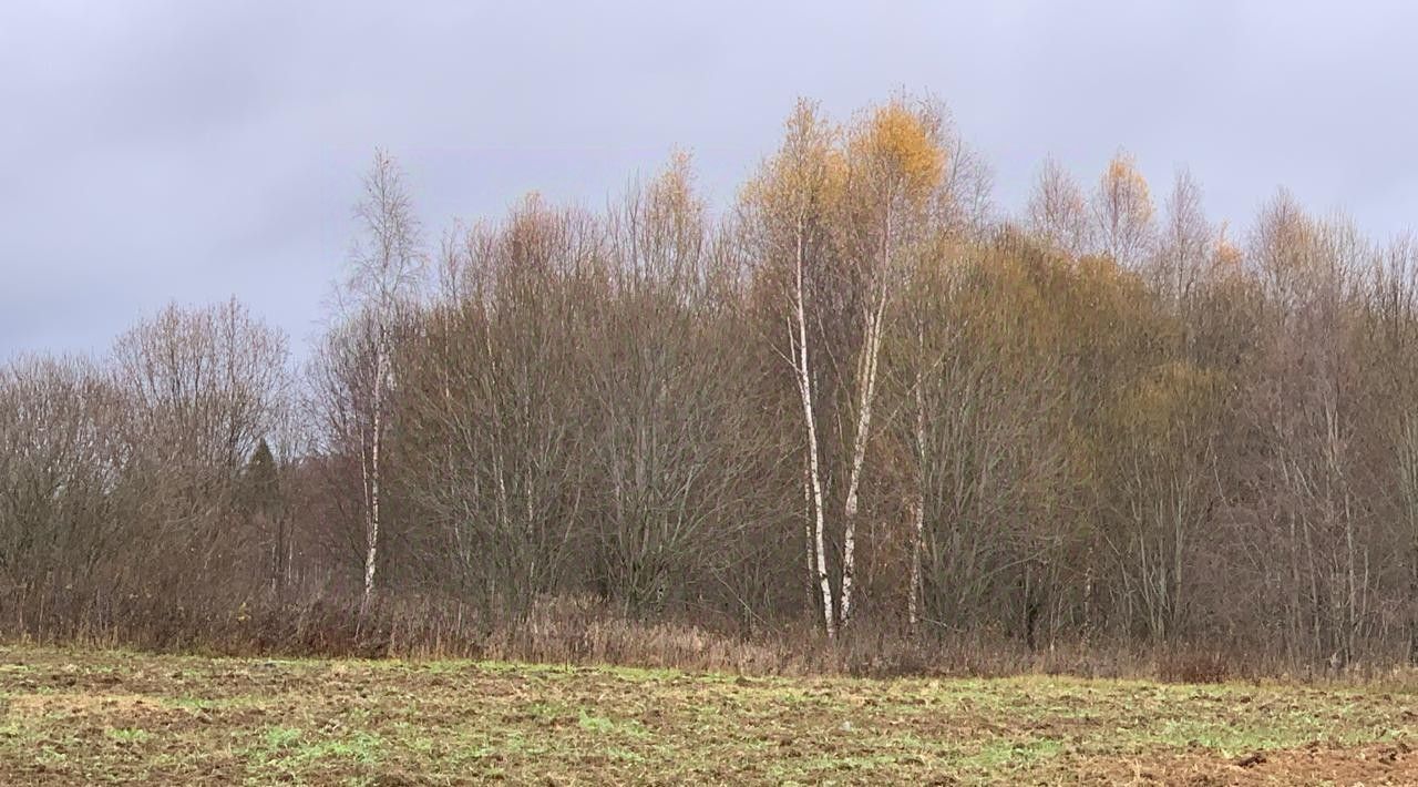 офис городской округ Истра д Назарово фото 1