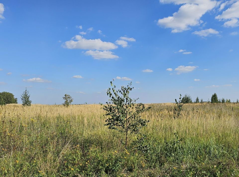 офис городской округ Луховицы д Власьево фото 2