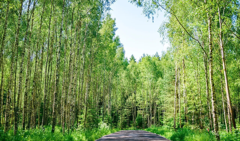 земля г Ступино коттеджный посёлок Уайт Парк фото 12