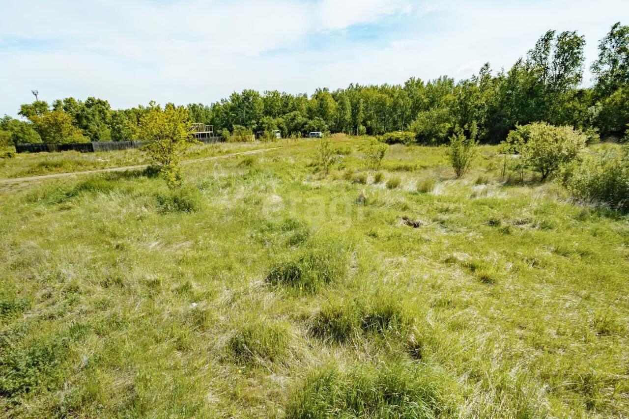 земля г Комсомольск-на-Амуре р-н Новый сельское поселение Село Новый Мир, Мир, Новокузнецкая улица, 24, Комсомольский район фото 3