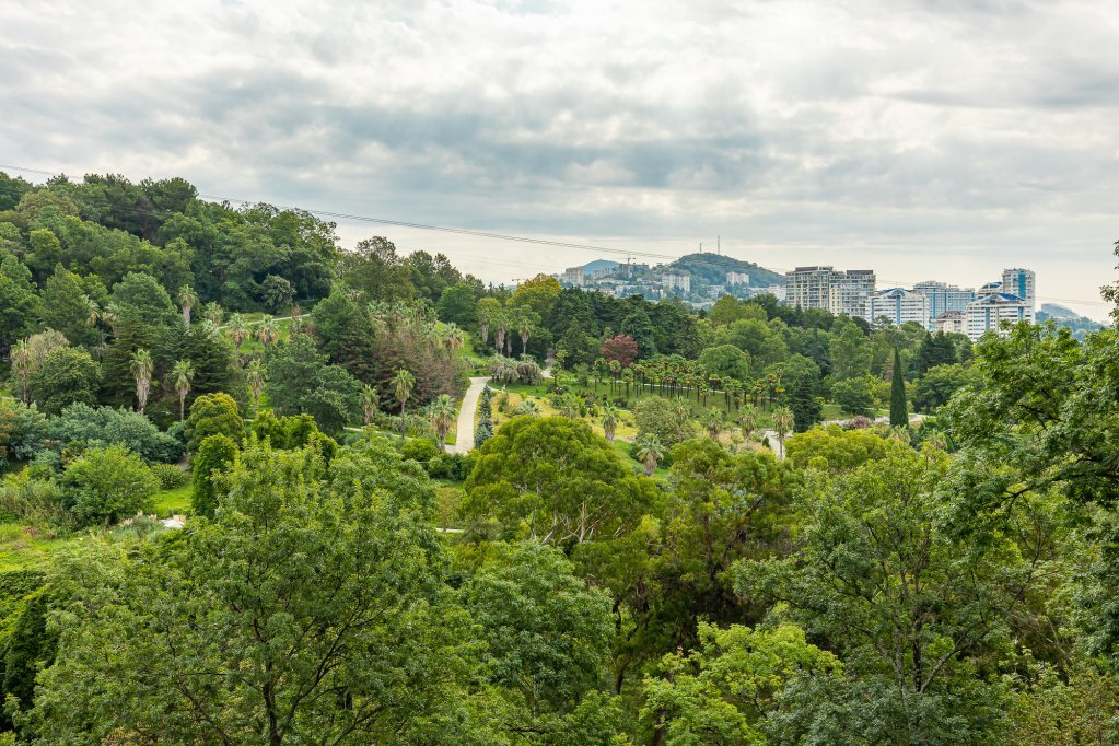 квартира г Сочи р-н Хостинский Хостинский район фото 27