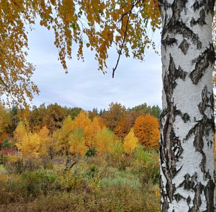 офис р-н Кармаскалинский Шаймуратовский сельсовет фото 1