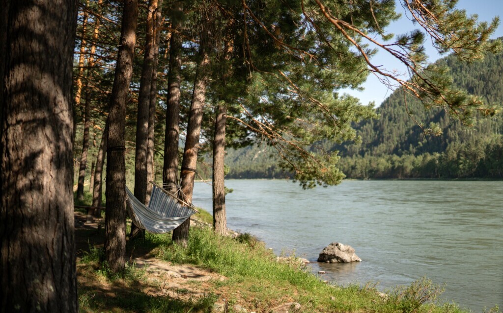 гостиницу р-н Чемальский с Чепош s. Cheposh, Chemal skij rajon, Respublika Altaj фото 24