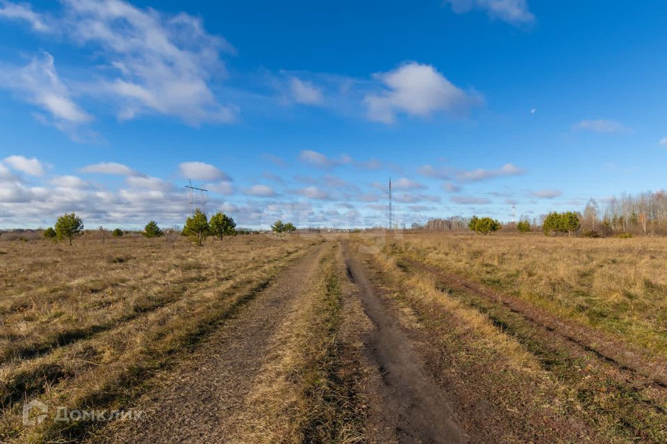 земля р-н Тюменский Борки фото 8