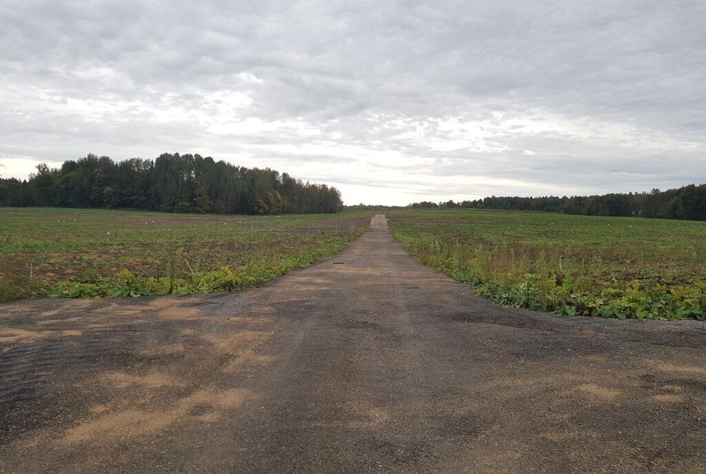 земля городской округ Дмитровский коттеджный поселок «Сорочаны» городской округ Клин фото 23