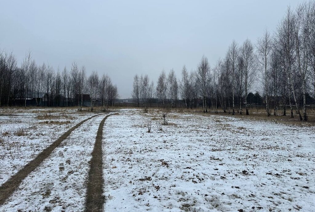 земля городской округ Раменский с Заворово фото 2