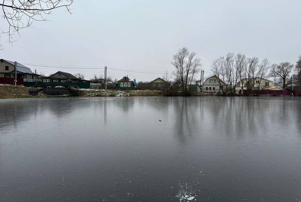 земля городской округ Раменский с Заворово фото 10