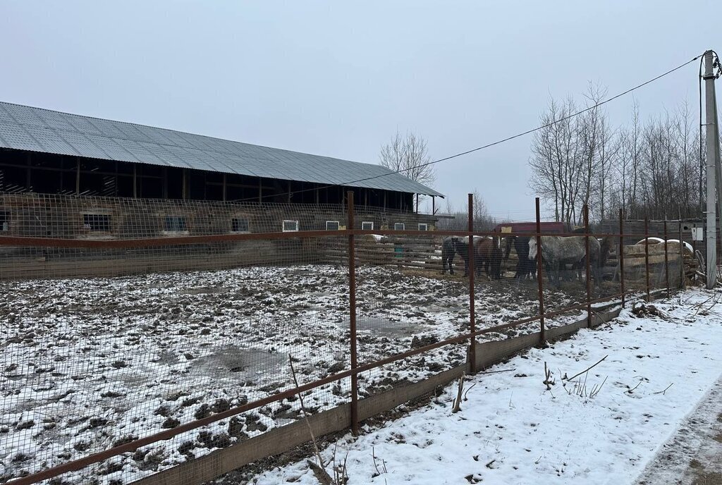 земля городской округ Раменский с Заворово фото 11