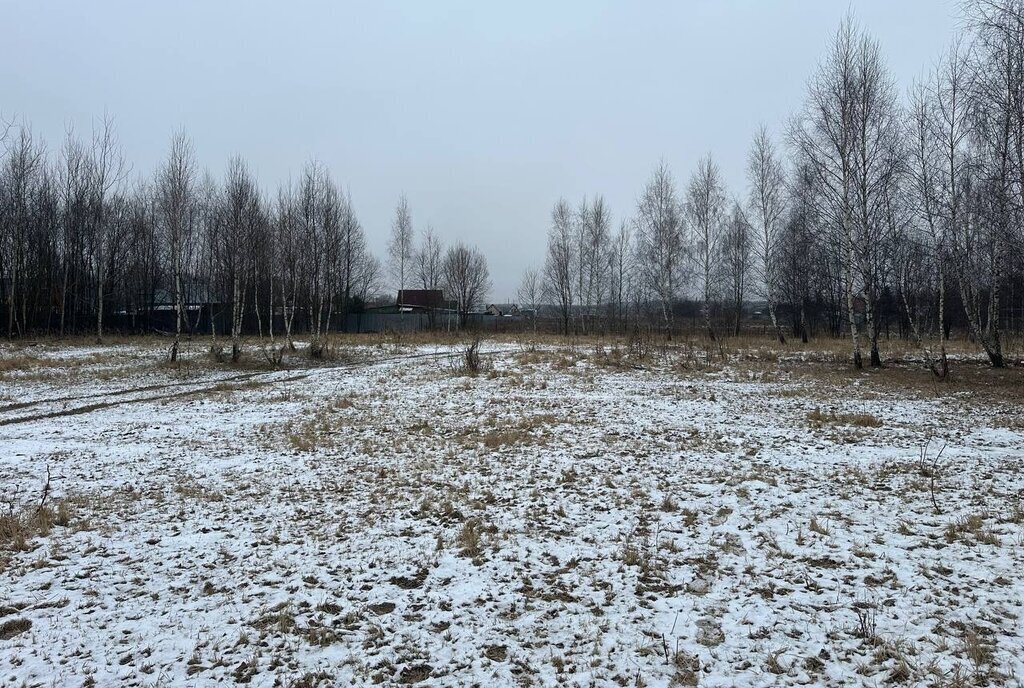 земля городской округ Раменский с Заворово фото 19