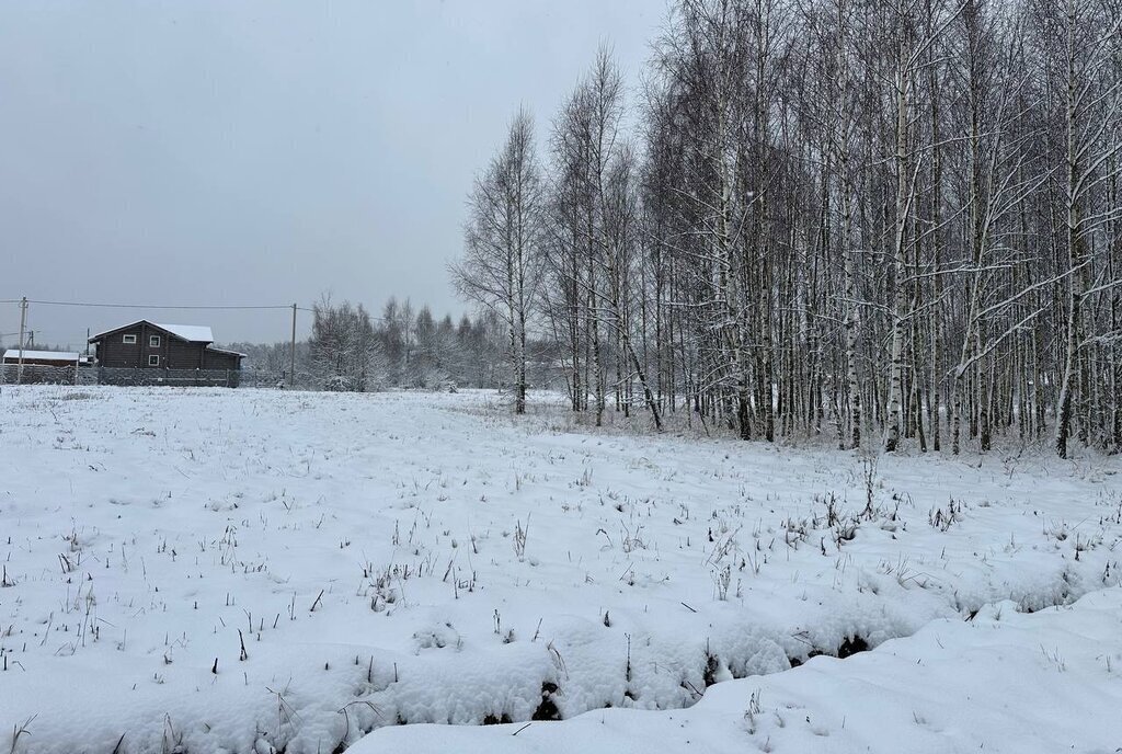 земля городской округ Истра д Сафонтьево днп терСафонтьевские дачи фото 15