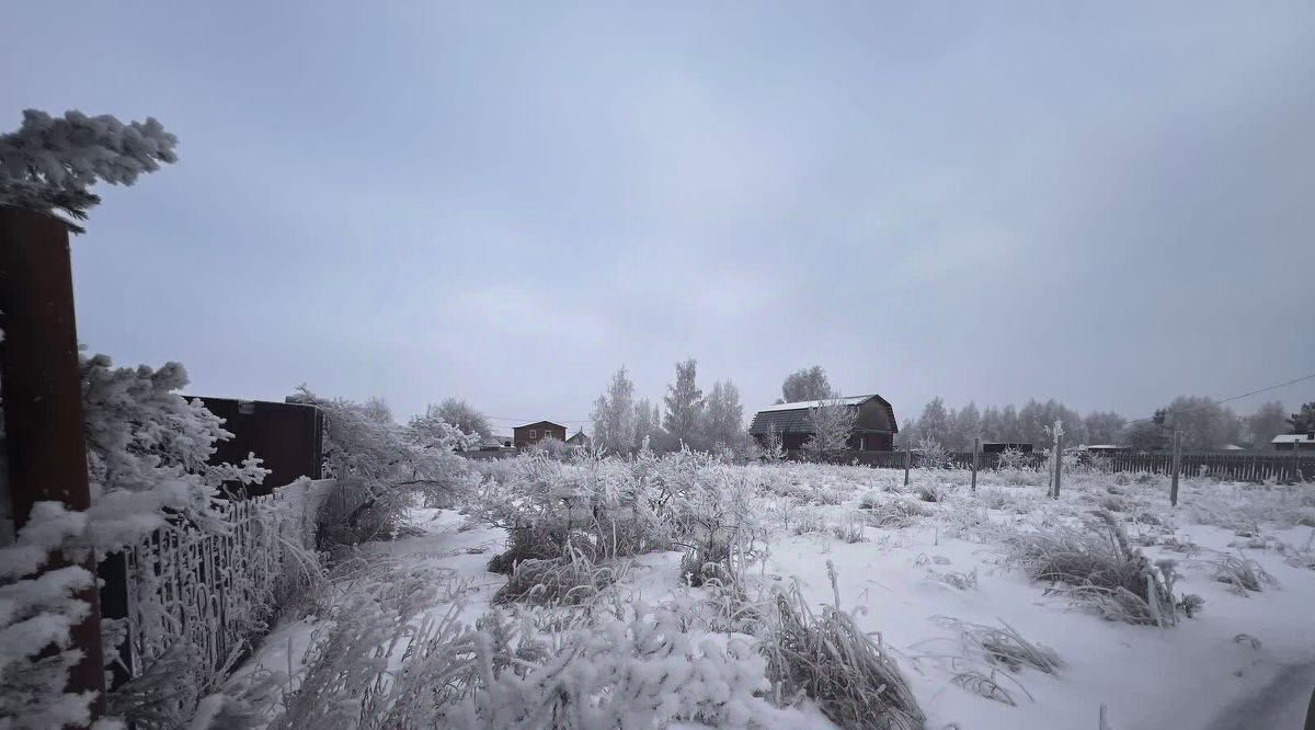 земля р-н Омский д Падь снт тер.Зеленая Падь Иртышское с/пос, аллея 4-я фото 2