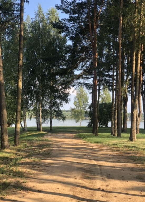 дом городской округ Можайский д Аксаново ул Новоаксановская д. 19а фото 26