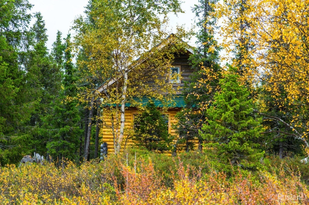 гостиницу р-н Ловозерский пгт Ревда фото 6