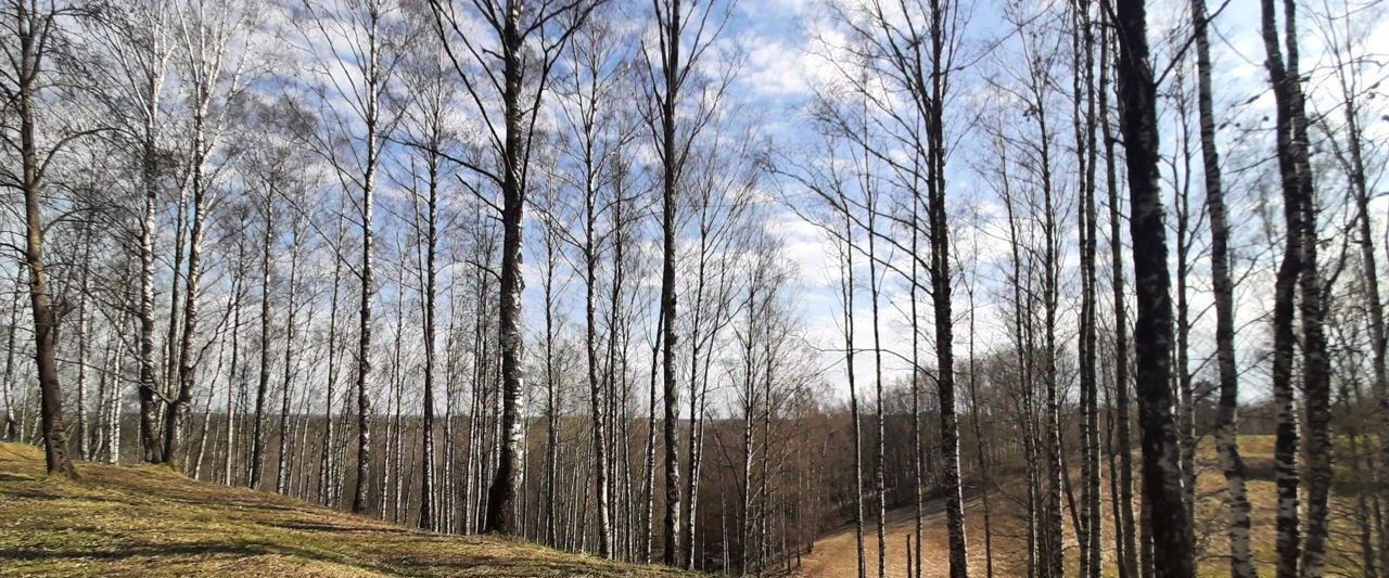 дом р-н Всеволожский снт Воейково Колтушское городское поселение фото 16