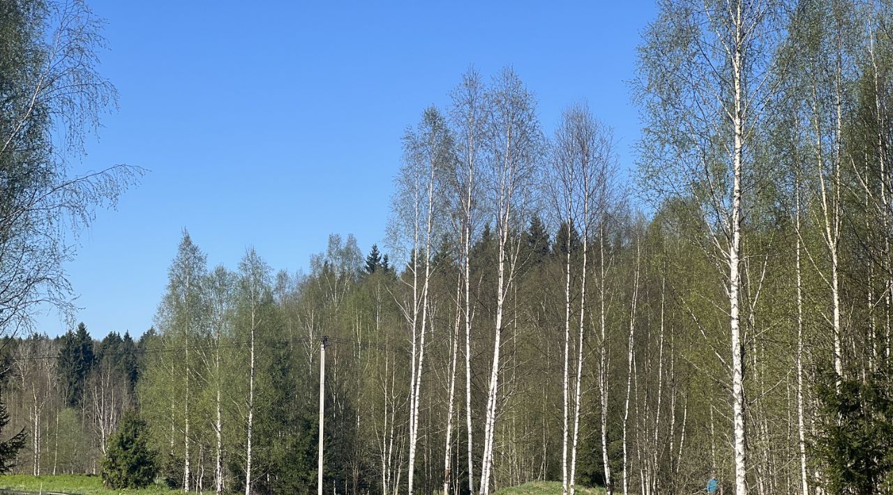 земля городской округ Сергиево-Посадский Яркое кп фото 5