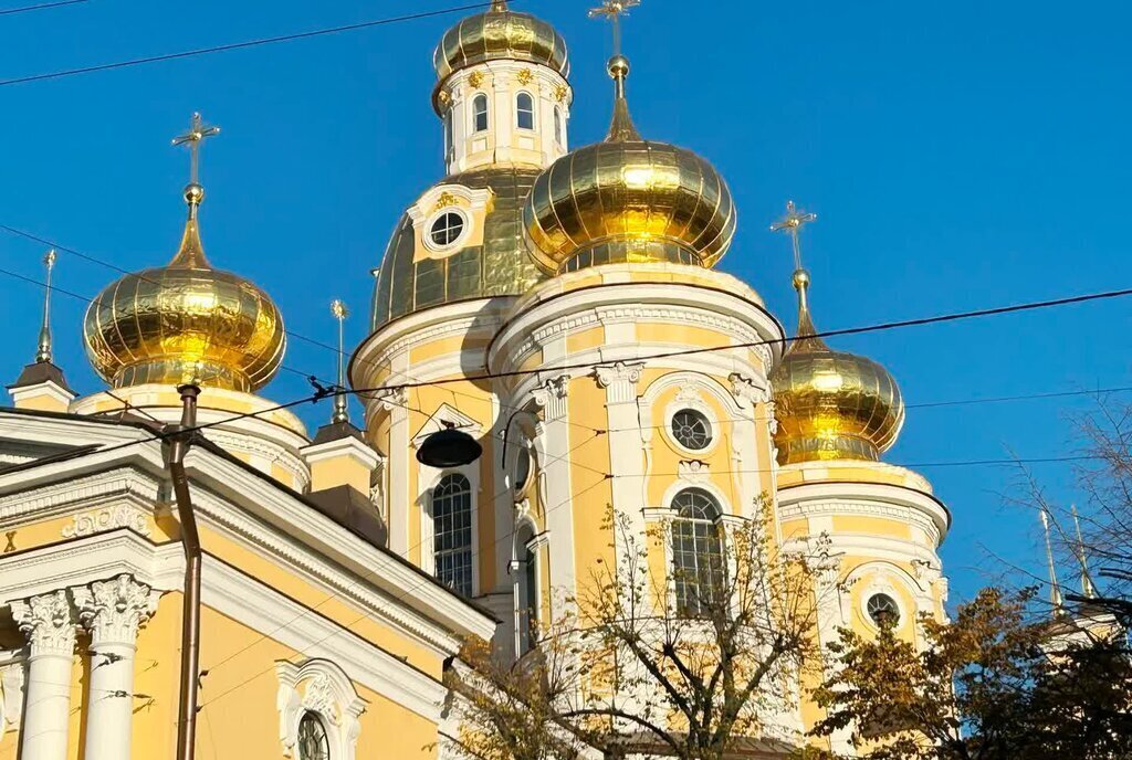 комната г Санкт-Петербург метро Достоевская ул Большая Московская 1/3 фото 14