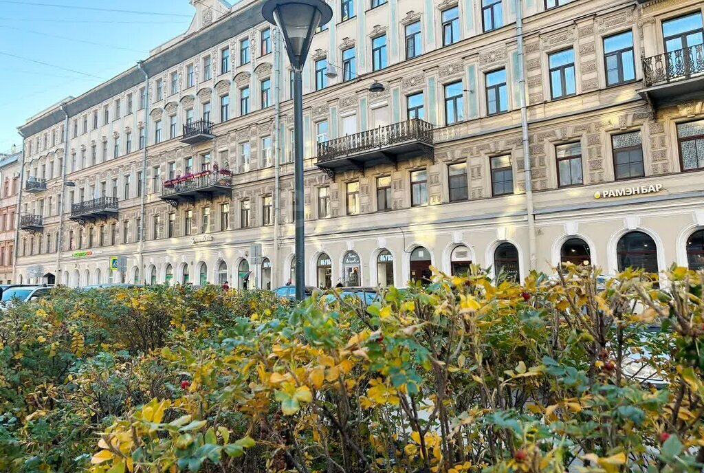 комната г Санкт-Петербург метро Достоевская ул Большая Московская 1/3 фото 23