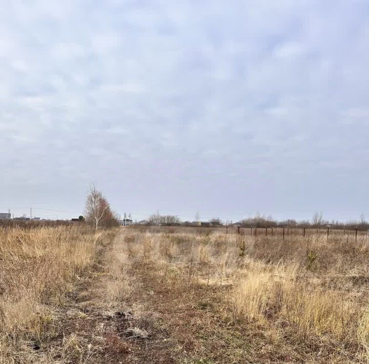 земля р-н Тюменский тер ДНТ Воскресенье 1 фото 16