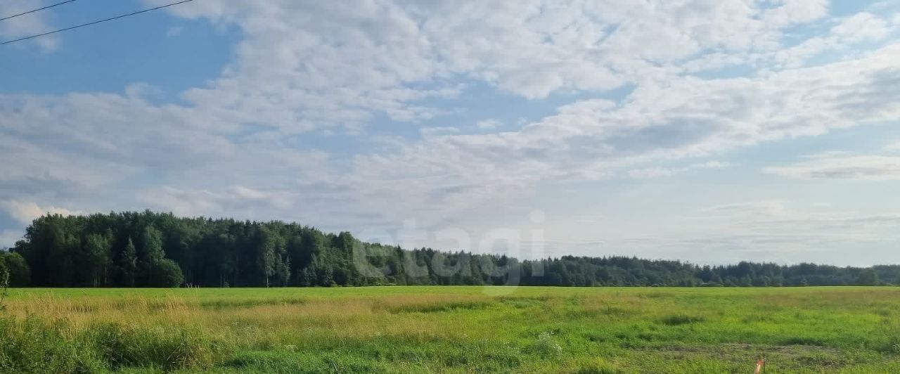 земля г Санкт-Петербург п Левашово Беговая, 20 фото 2