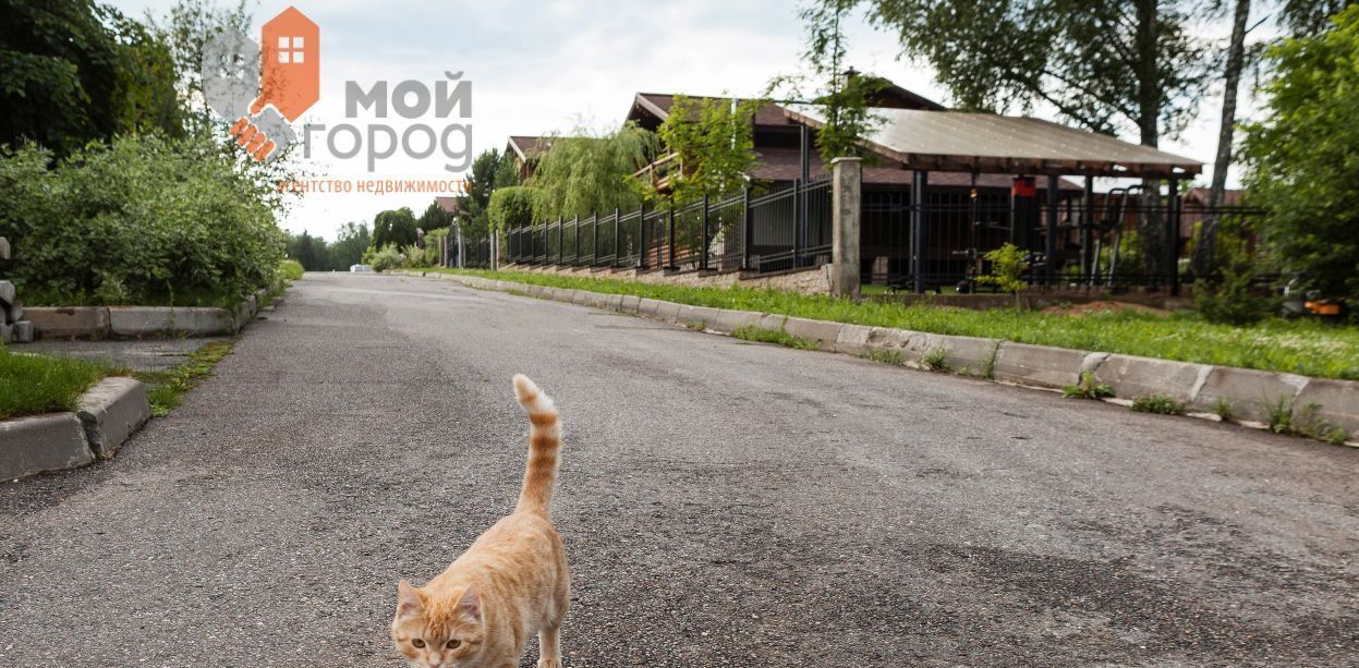 офис городской округ Одинцовский Звенигорье СНТ фото 16