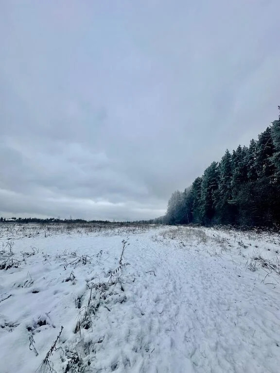 земля городской округ Наро-Фоминский д Тимонино Киевское фото 5