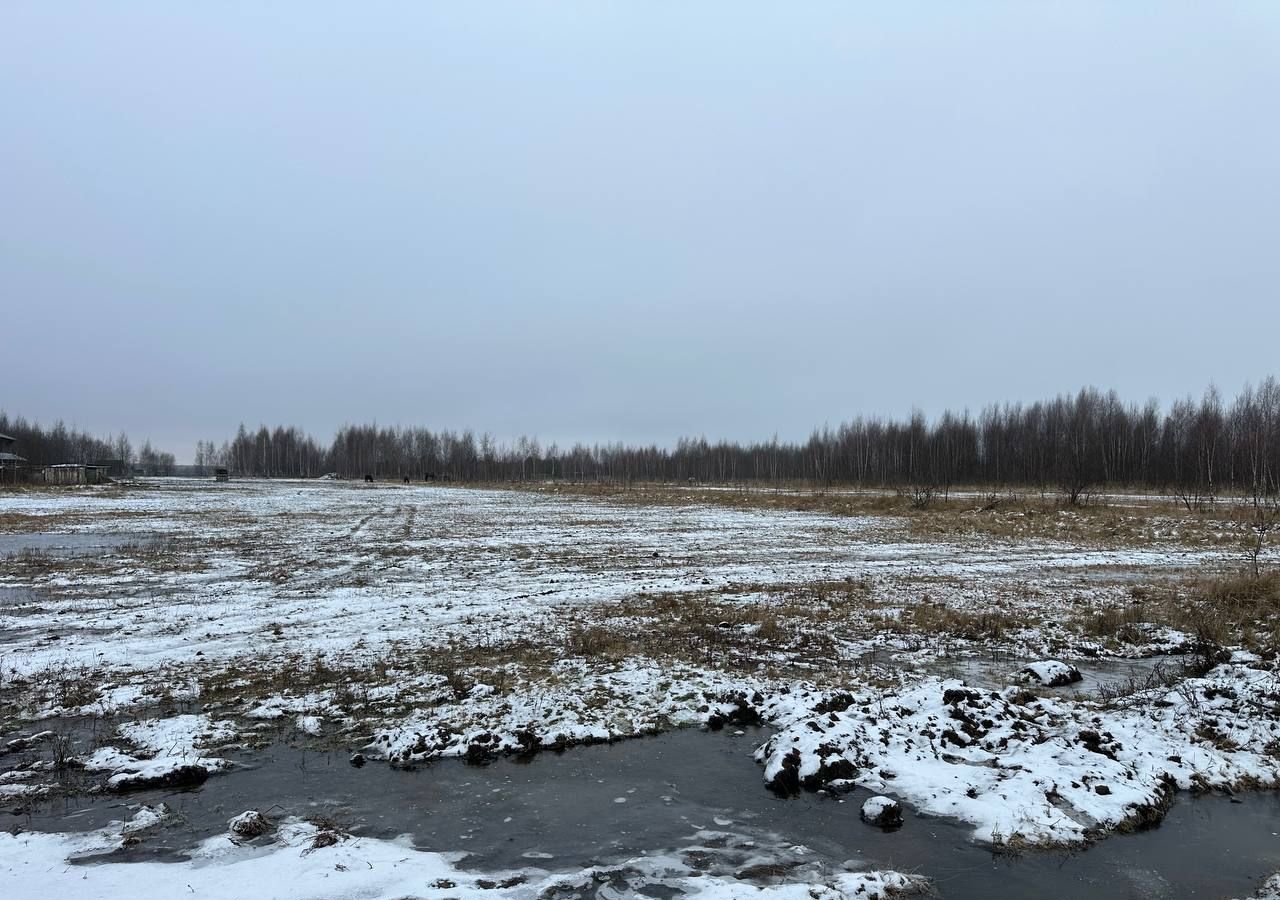 земля городской округ Раменский с Заворово 42 км, Бронницы, Новорязанское шоссе фото 9