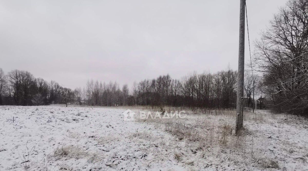 земля р-н Суздальский с Новоалександрово ул Владимирская фото 2