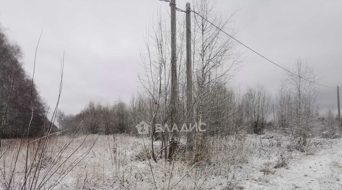 земля р-н Суздальский с Новоалександрово ул Владимирская фото 19