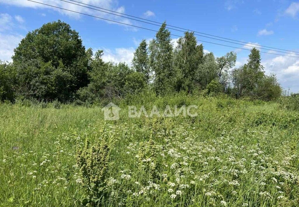 земля р-н Богородский д Букино Буревестник фото 1