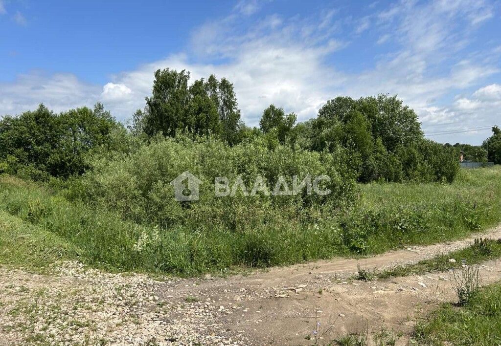 земля р-н Богородский д Букино Буревестник фото 4