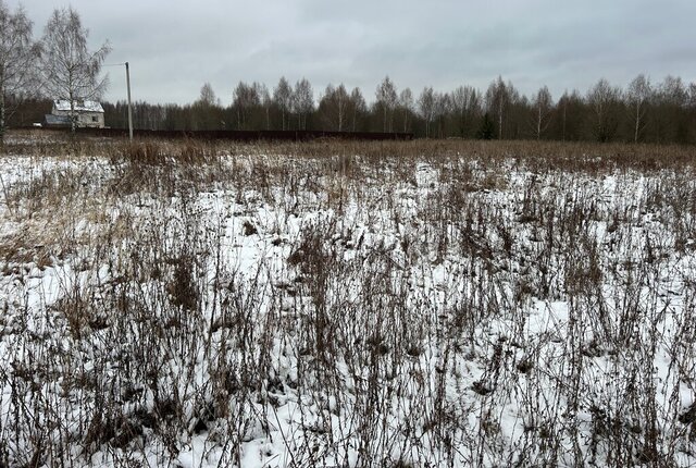 д Данилково муниципальное образование Каринское, Лизуновский сельский округ, улица Комарова фото