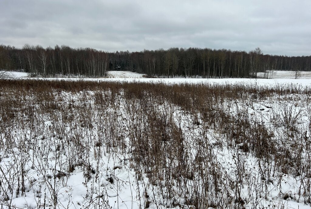 земля р-н Александровский д Данилково муниципальное образование Каринское, Лизуновский сельский округ, улица Комарова фото 21